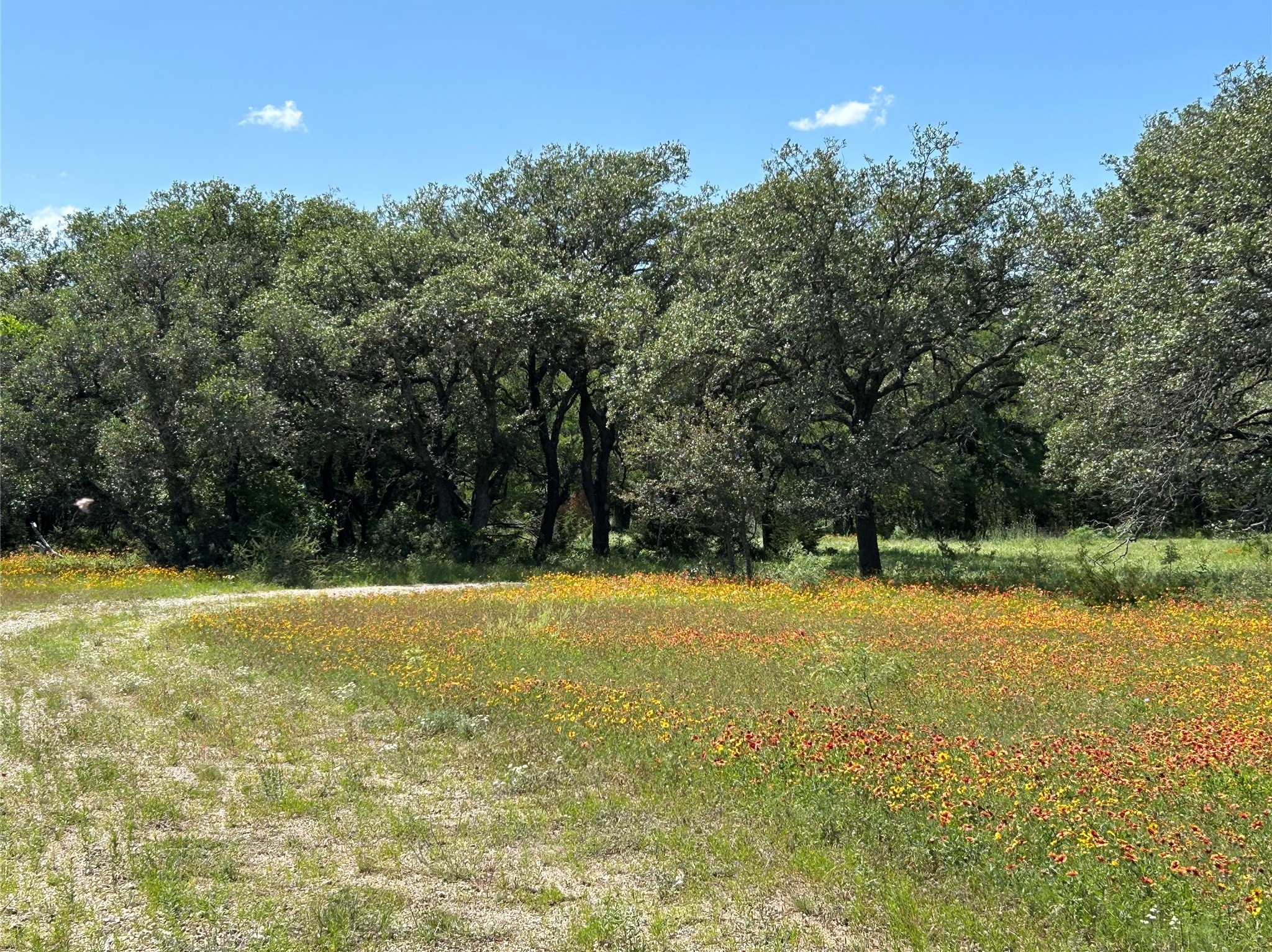 photo 3: 341 W FM 574, Goldthwaite TX 76844