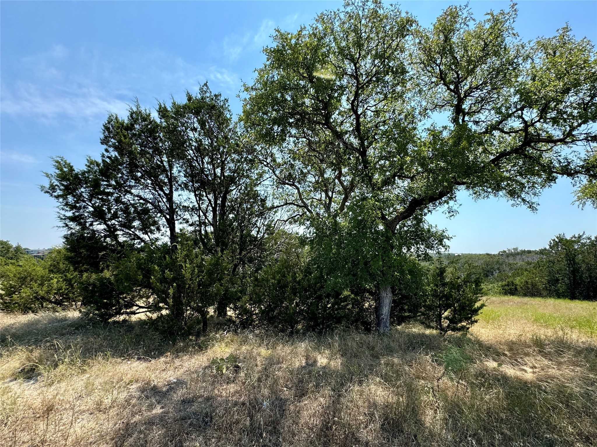 photo 3: 1204 Rawhide Ridge, Graford TX 76449