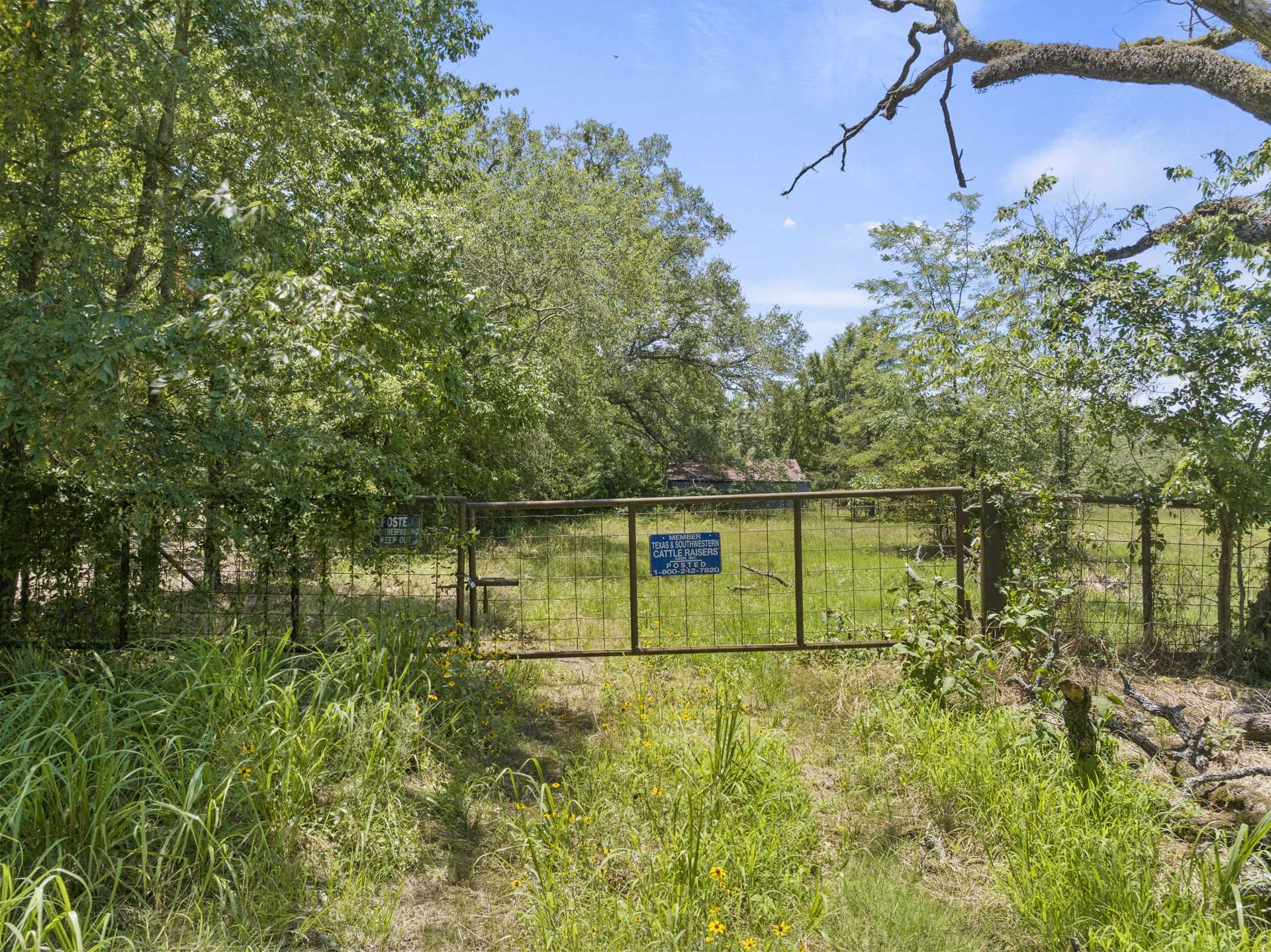 photo 2: TBD FM 1487, Bogata TX 75417