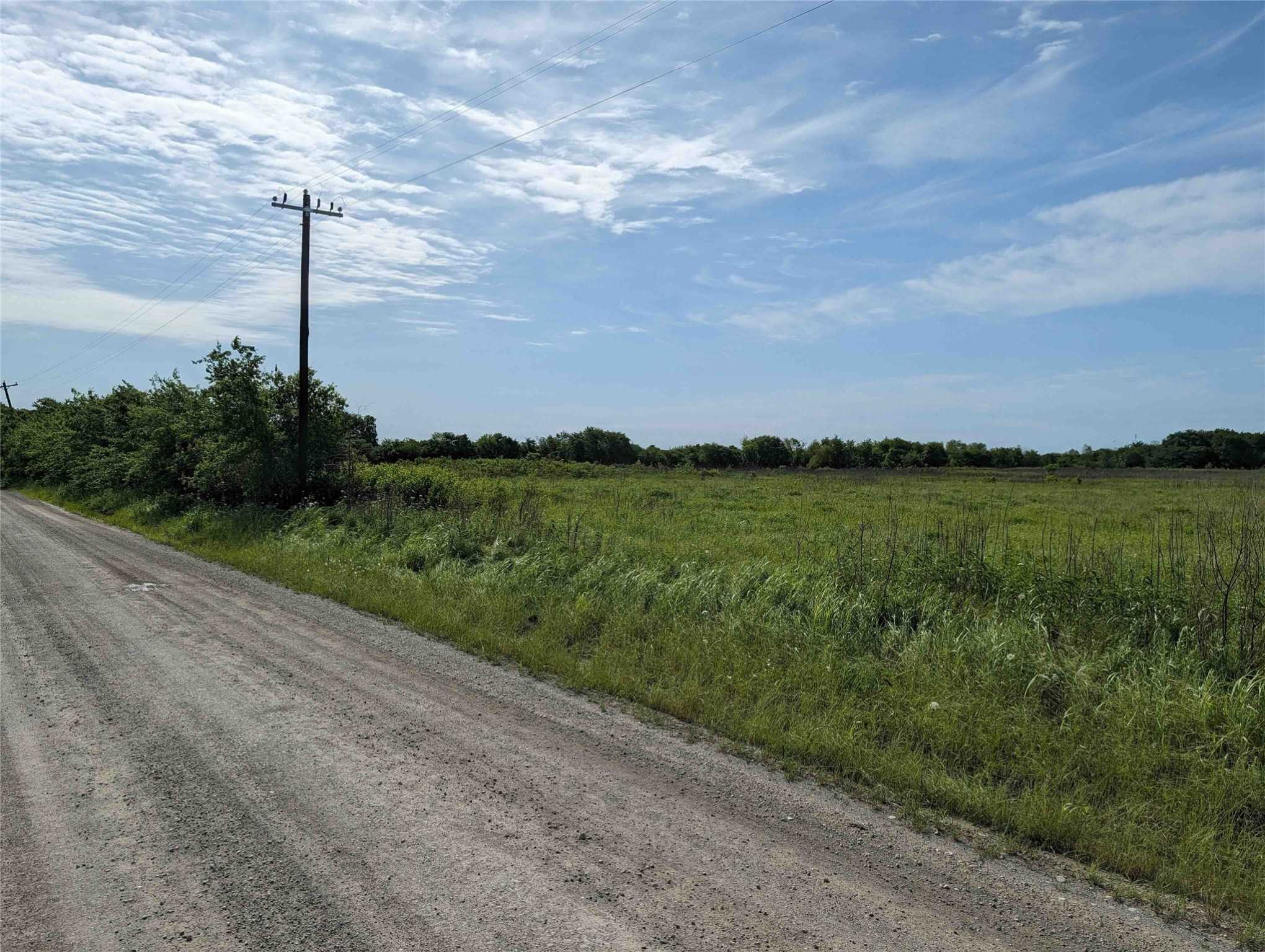 photo 2: TRACT 1 CR 1200, Bogata TX 75417