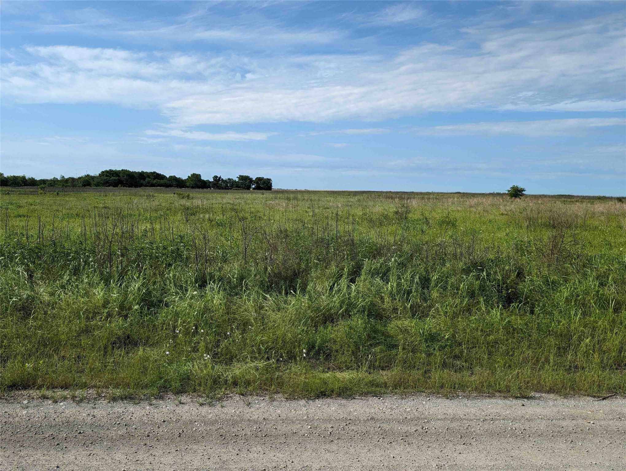 photo 3: TRACT 1 CR 1200, Bogata TX 75417