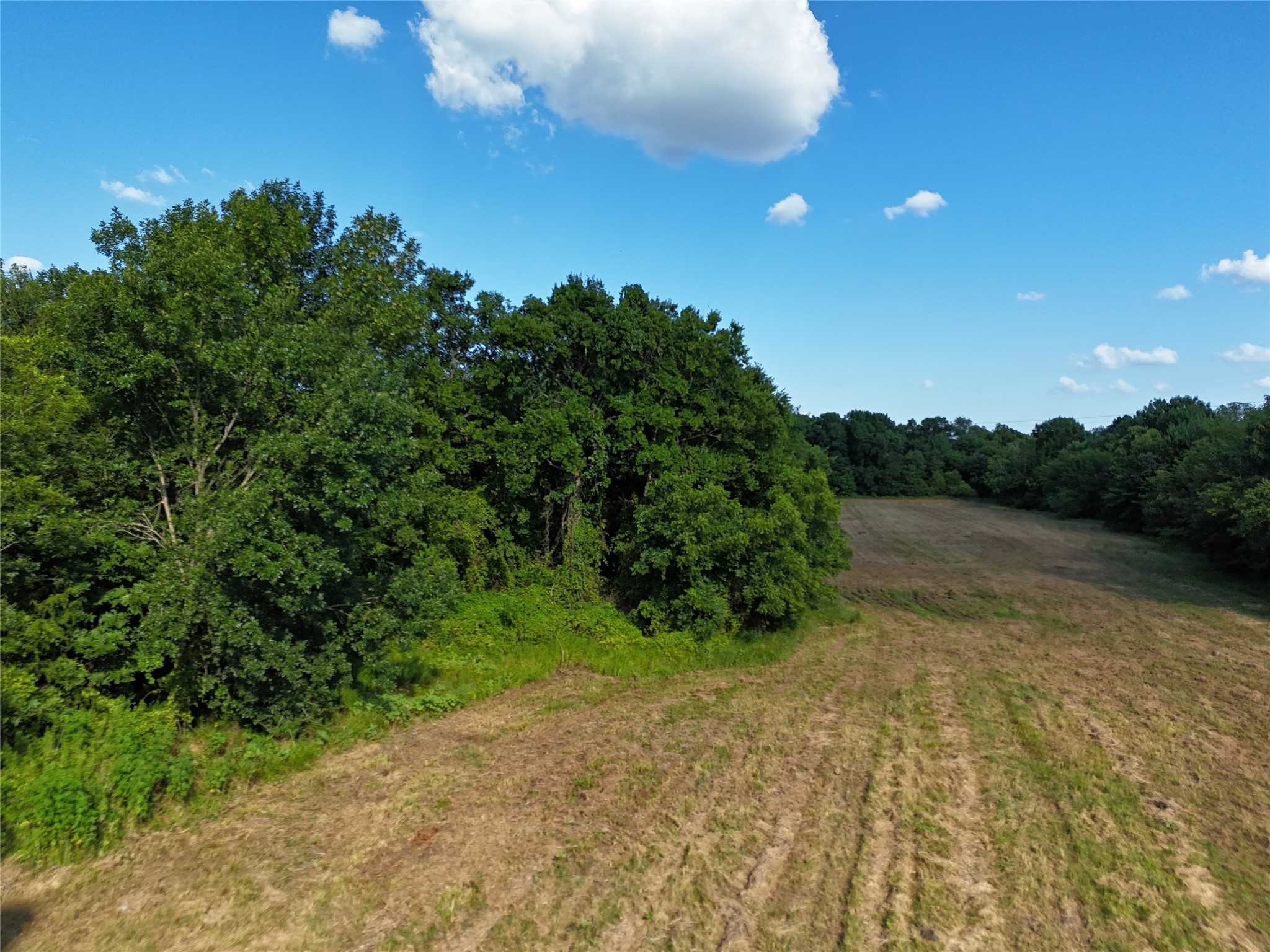 photo 2: 11 TBD CR2770 CR 2770, Honey Grove TX 75446