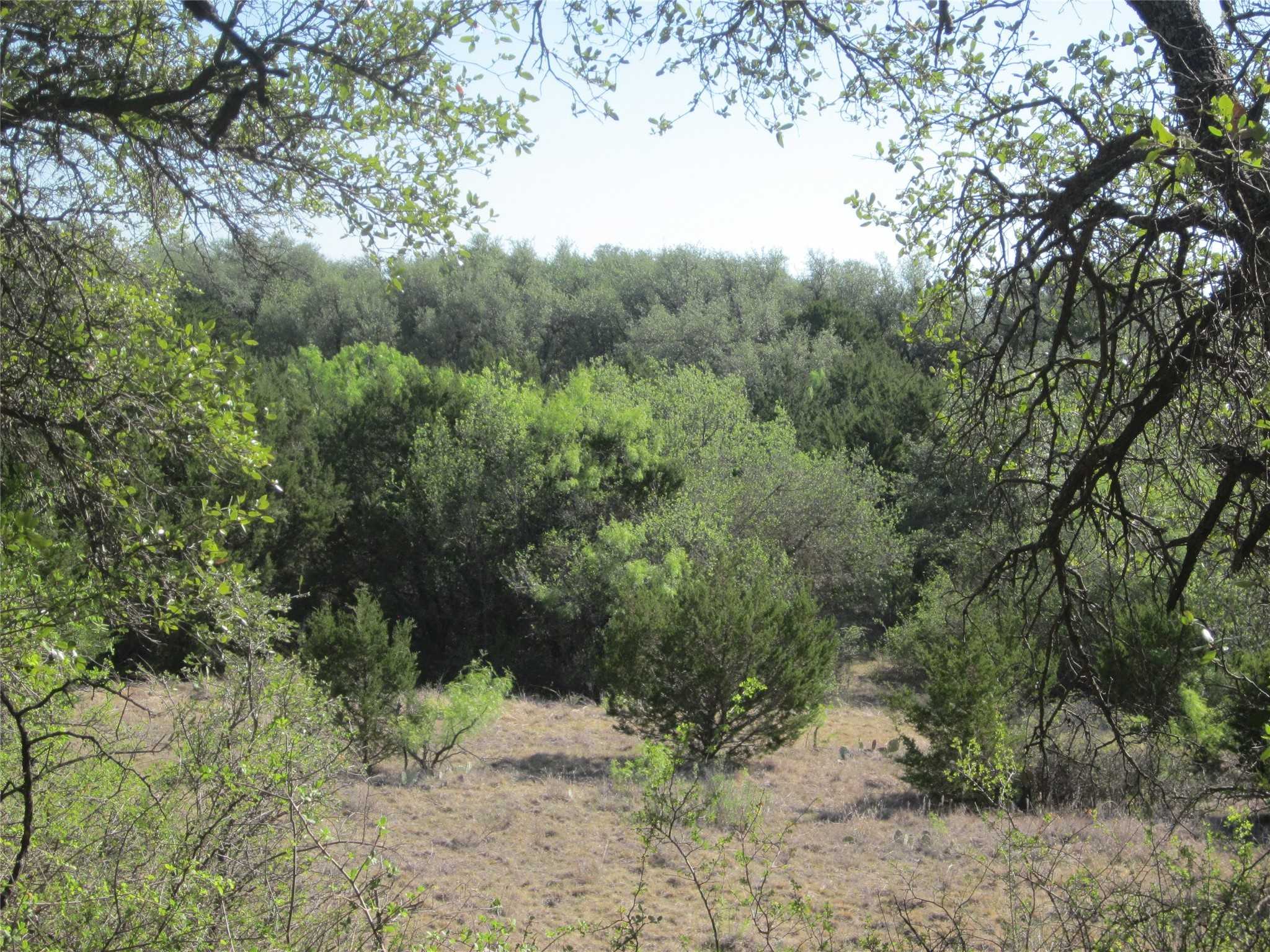 photo 2: TBD CR 484, Baird TX 79504