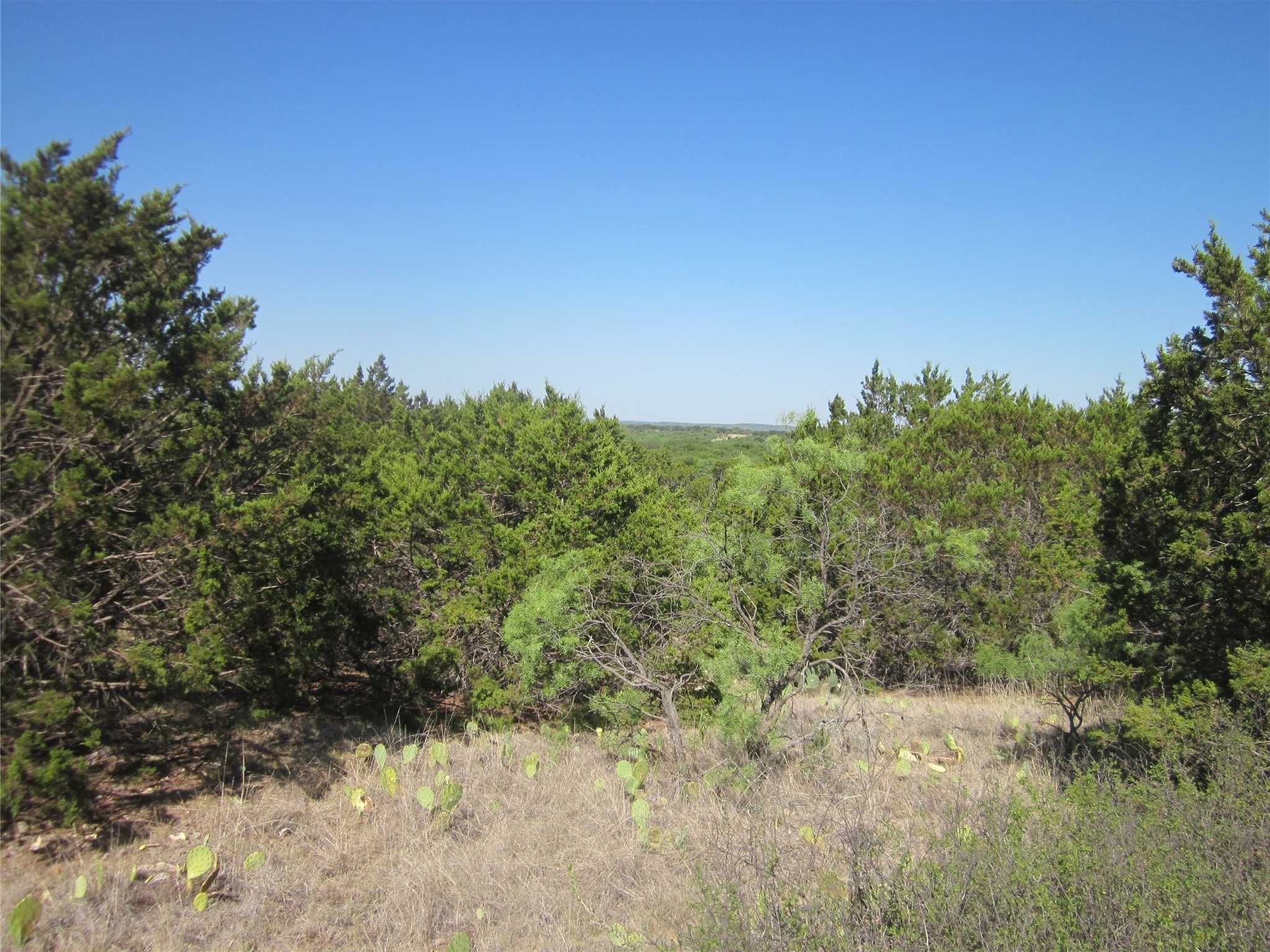 photo 3: TBD CR 484, Baird TX 79504