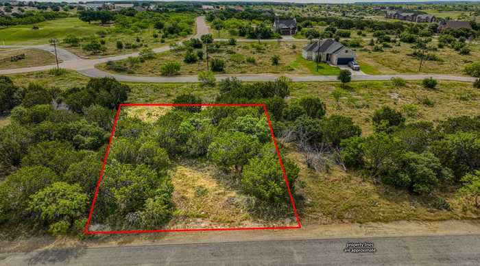 photo 1: 85 Coghill Drive, Possum Kingdom Lake TX 76449