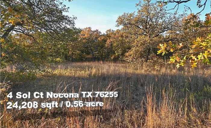 photo 1: 4 Sol Court, Nocona TX 76255