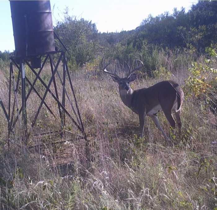 photo 20: County Road 151, Bluff Dale TX 76433