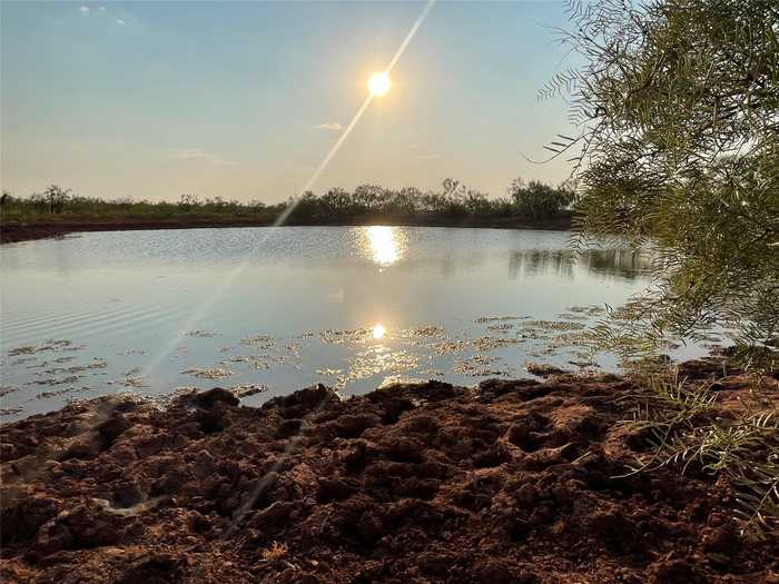 photo 1: 367.64 Acres Hwy 6, Lueders TX 79533