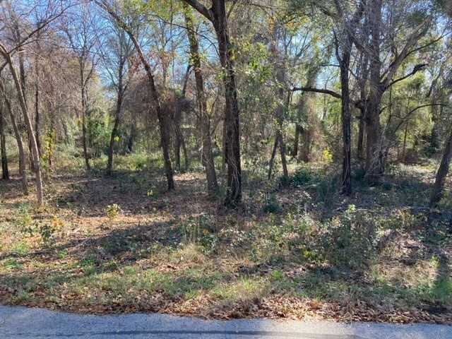 photo 1: TBD Old Indian Trail, Tool TX 75143