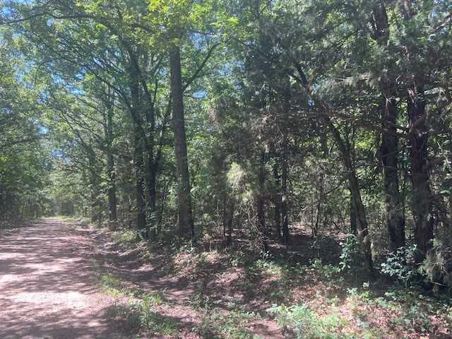 photo 1: TBD CR  36160, Sumner TX 75486