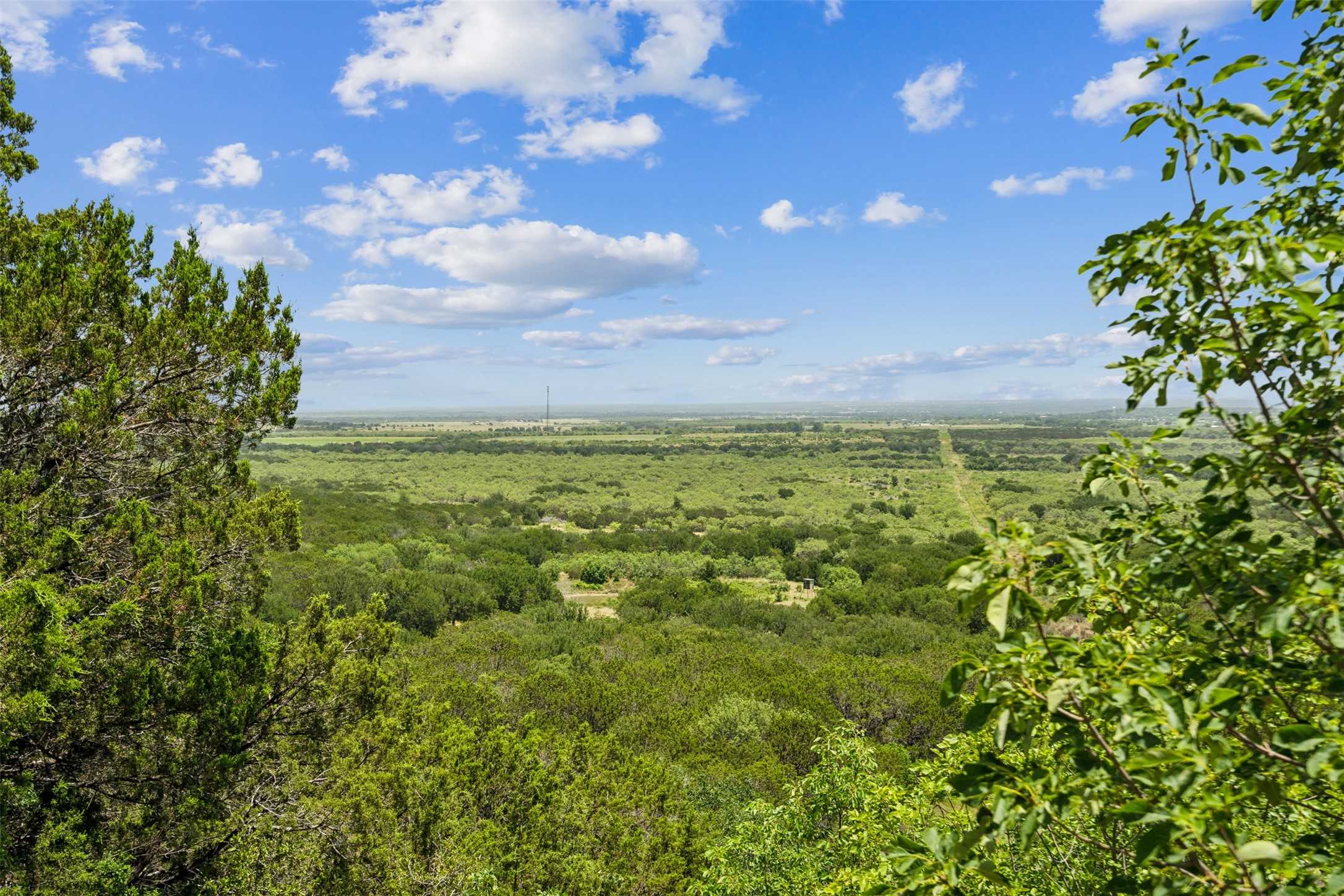 photo 3: 76 Acre Mountain Drive, Graford TX 76449