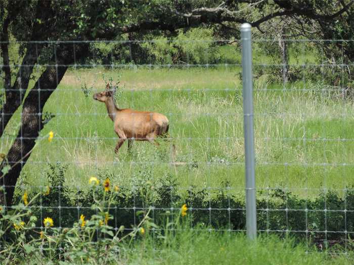 photo 38: 550 Chaparral Drive, Brownwood TX 76801