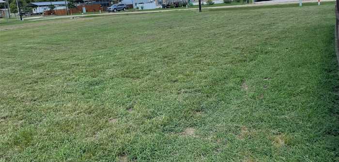 photo 2: TBD Lot 228 Wichita, Quitman TX 75783