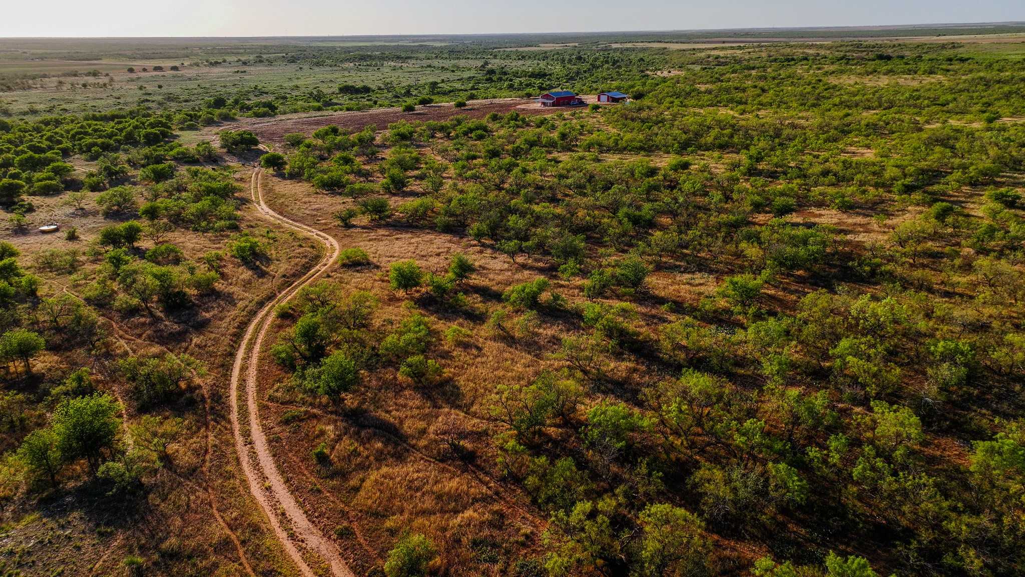 photo 3: TBD County Road 19, Childress TX 79201