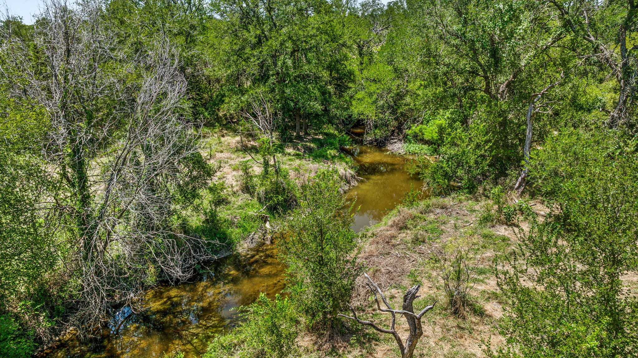 photo 2: TBD PR 1272, Carlton TX 76436