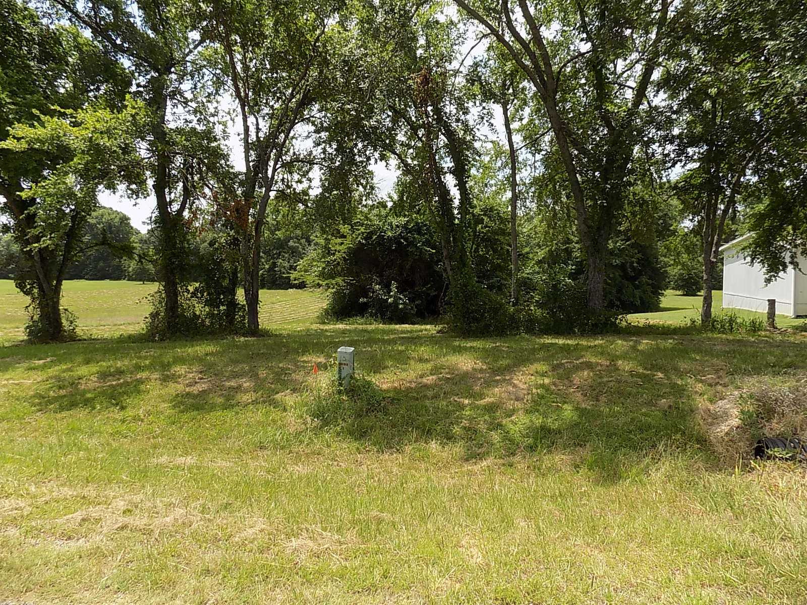 photo 2: Lot 6 & 7 Indian Gap, Quitman TX 75783