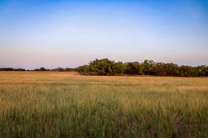 photo 23: Highway 79 S, Olney TX 76374