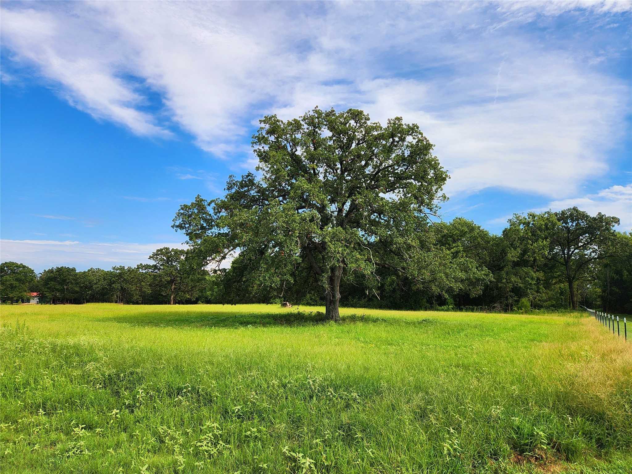 photo 1: PR 5209, Athens TX 75751