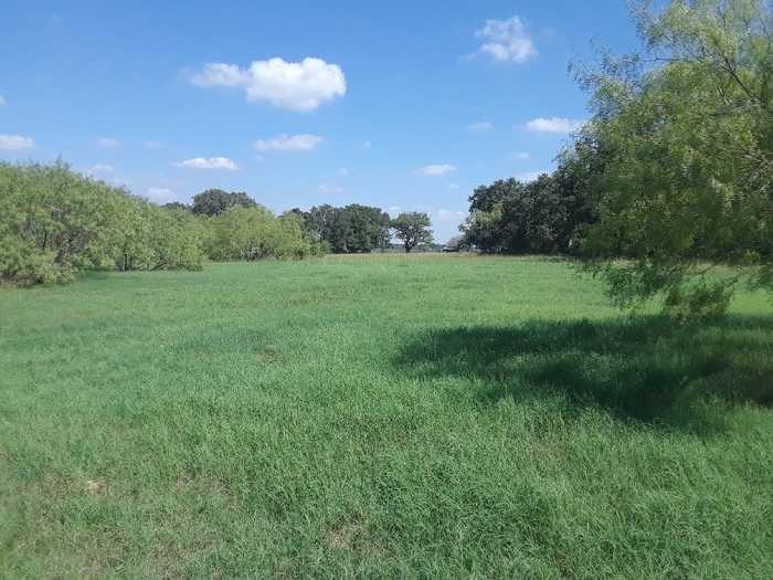 photo 5: TBD PR 114, Covington TX 76636