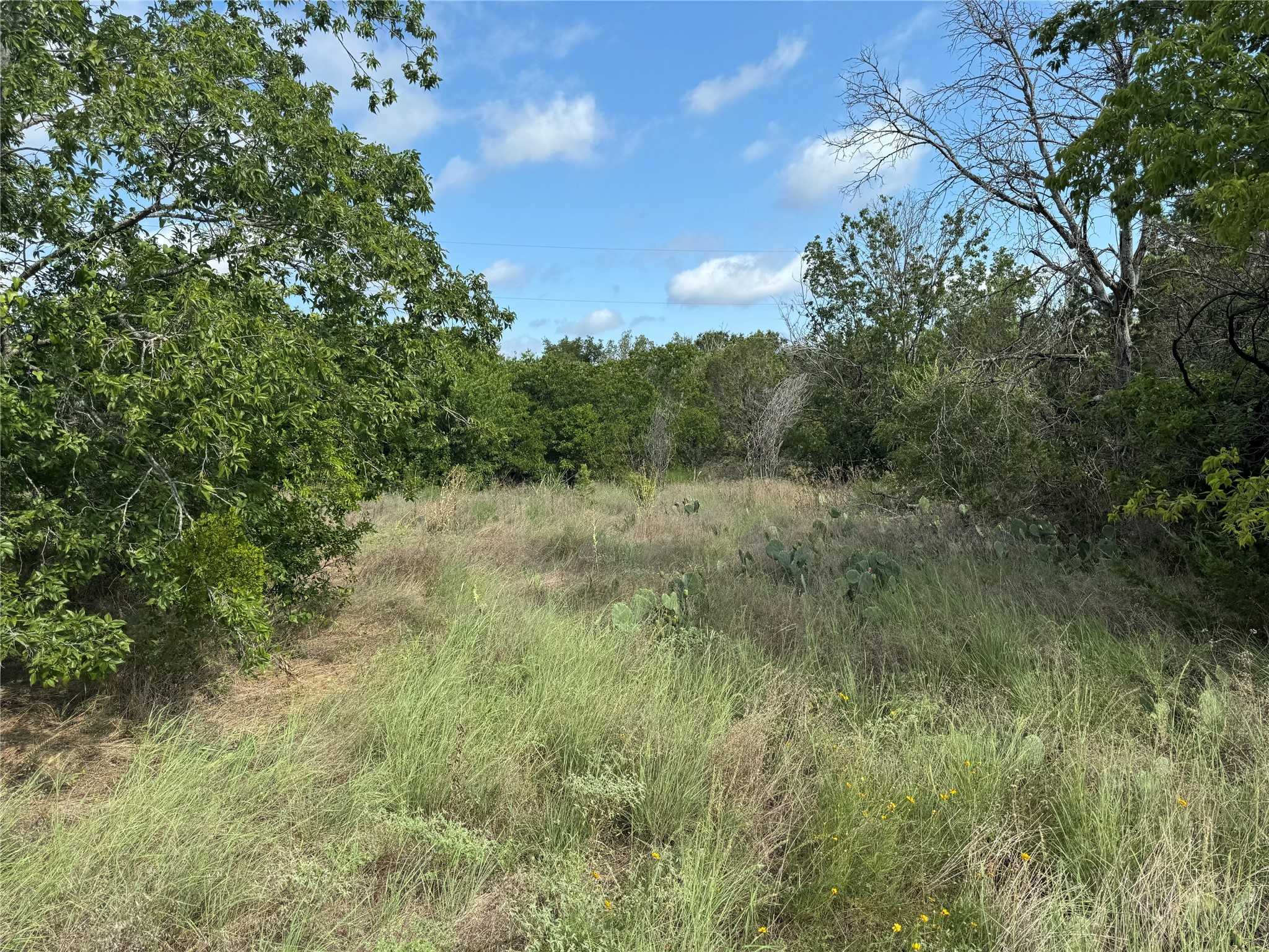 photo 1: 3610 Woodlake Drive, Granbury TX 76048