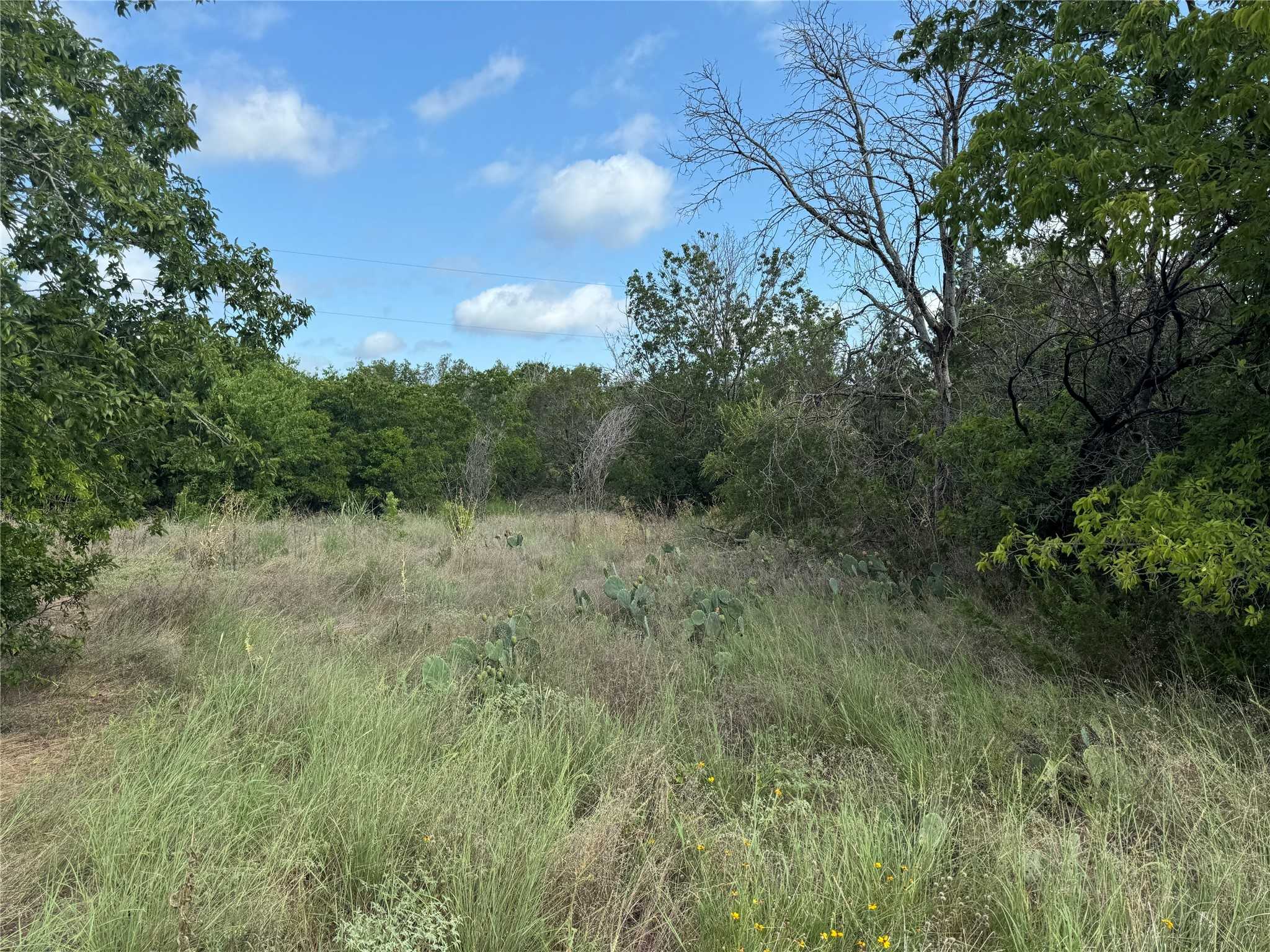 photo 2: 3610 Woodlake Drive, Granbury TX 76048