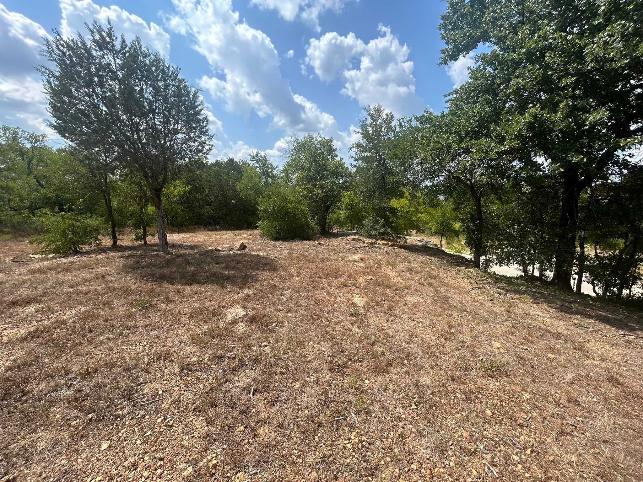 photo 3: 1406 Willow Wood Court, Graham TX 76450