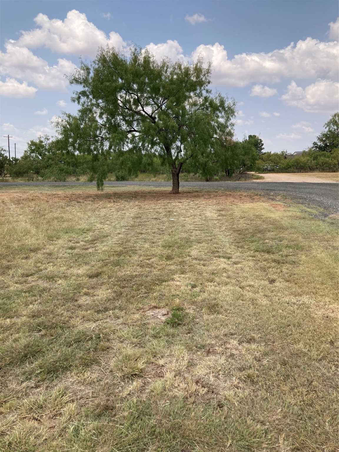 photo 3: Lot 38 Country Club Drive, Merkel TX 79536