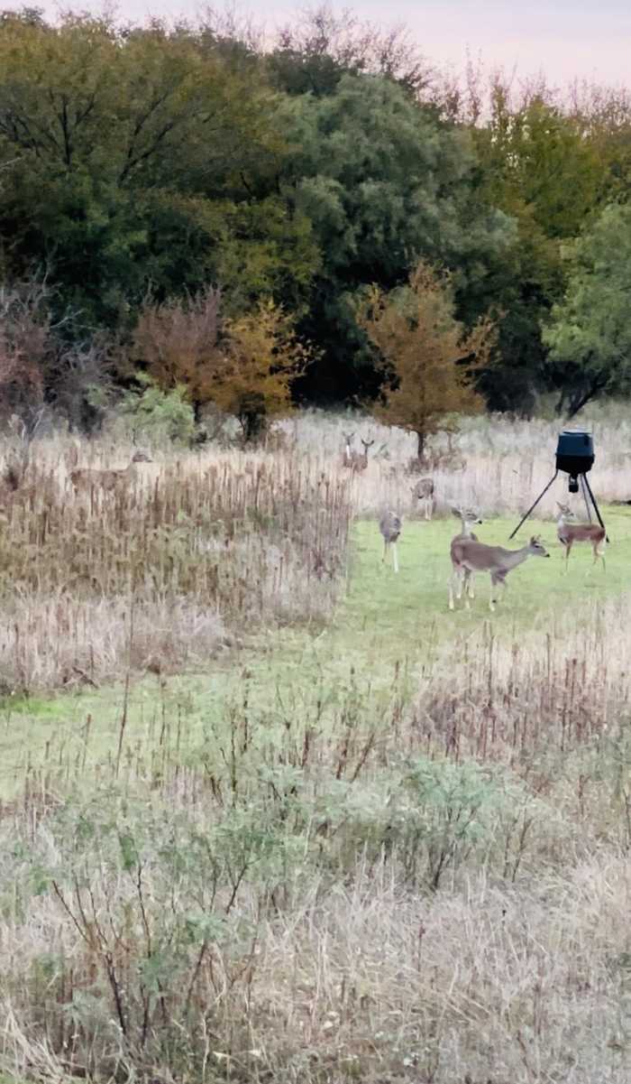 photo 21: TBD County Road 473, De Leon TX 76444