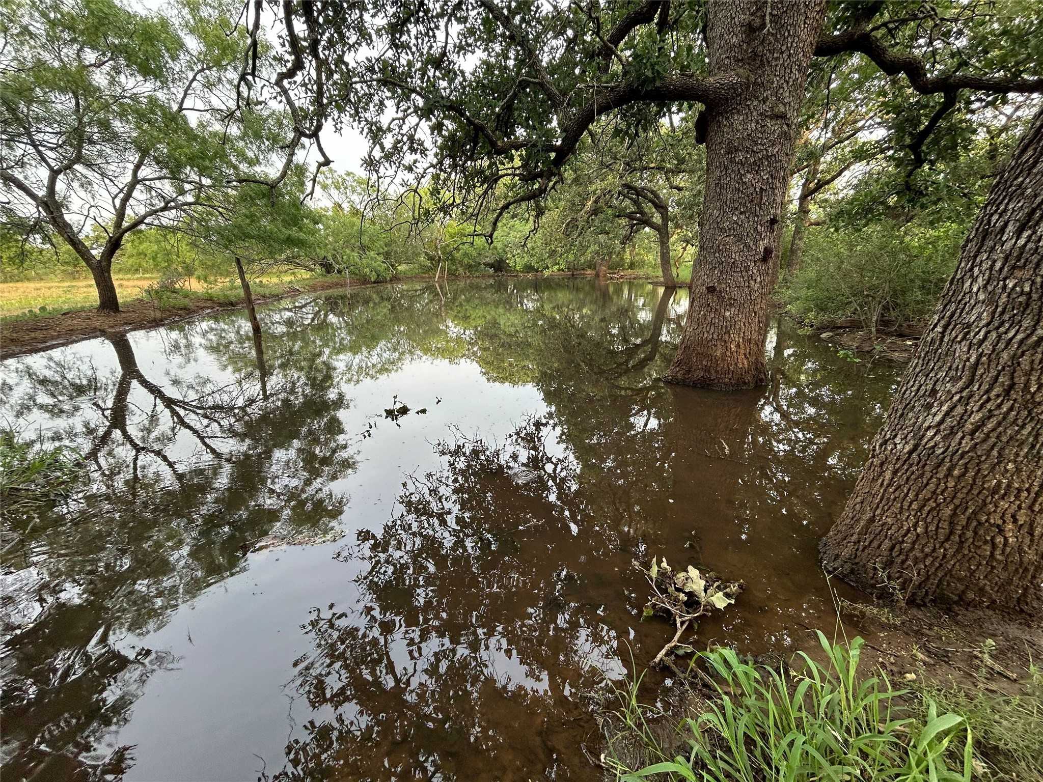 photo 3: T.B.D. Cr 120, Brownwood TX 76801