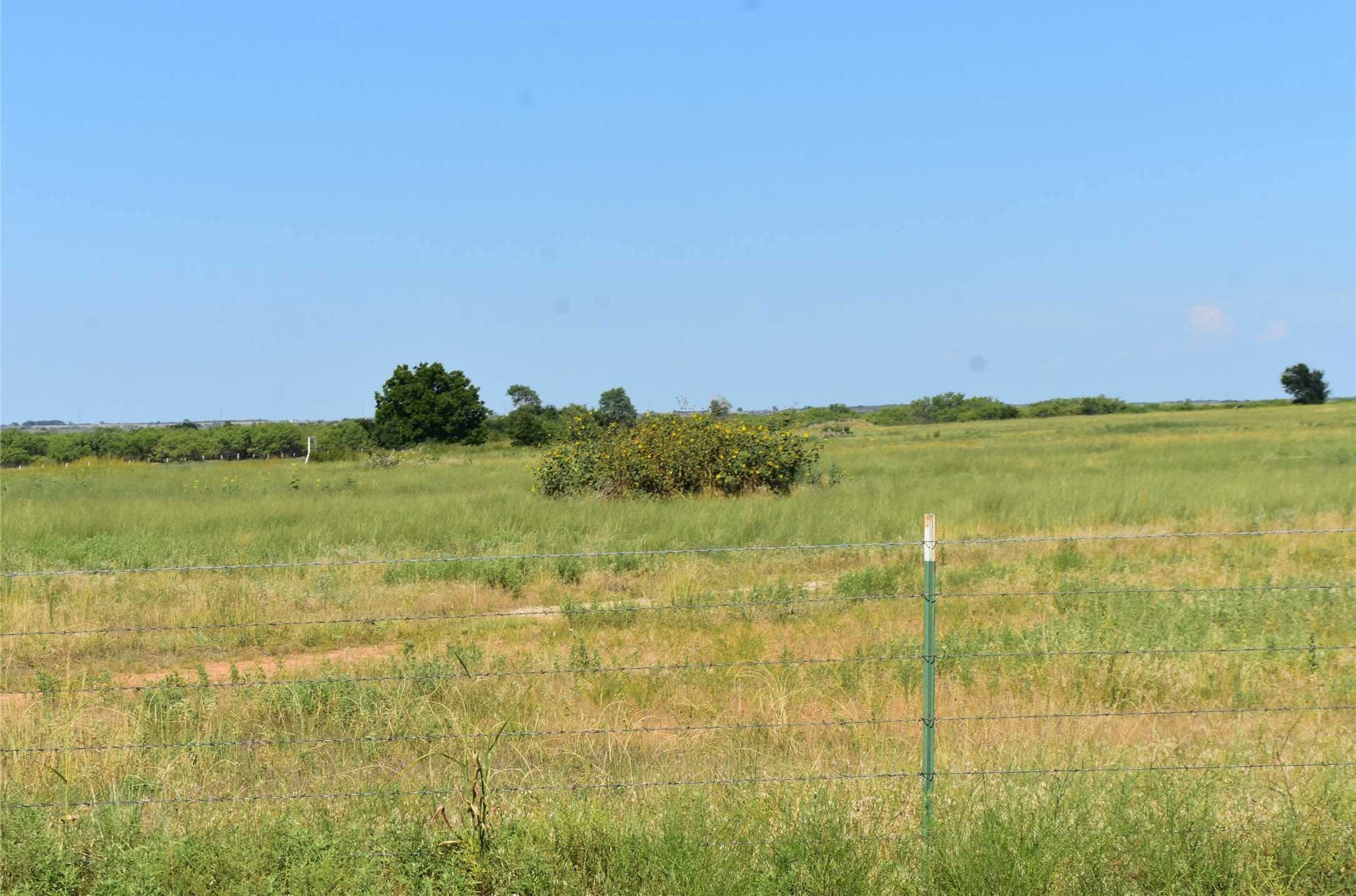 photo 3: TBD Rodgers Road, Olney TX 76374