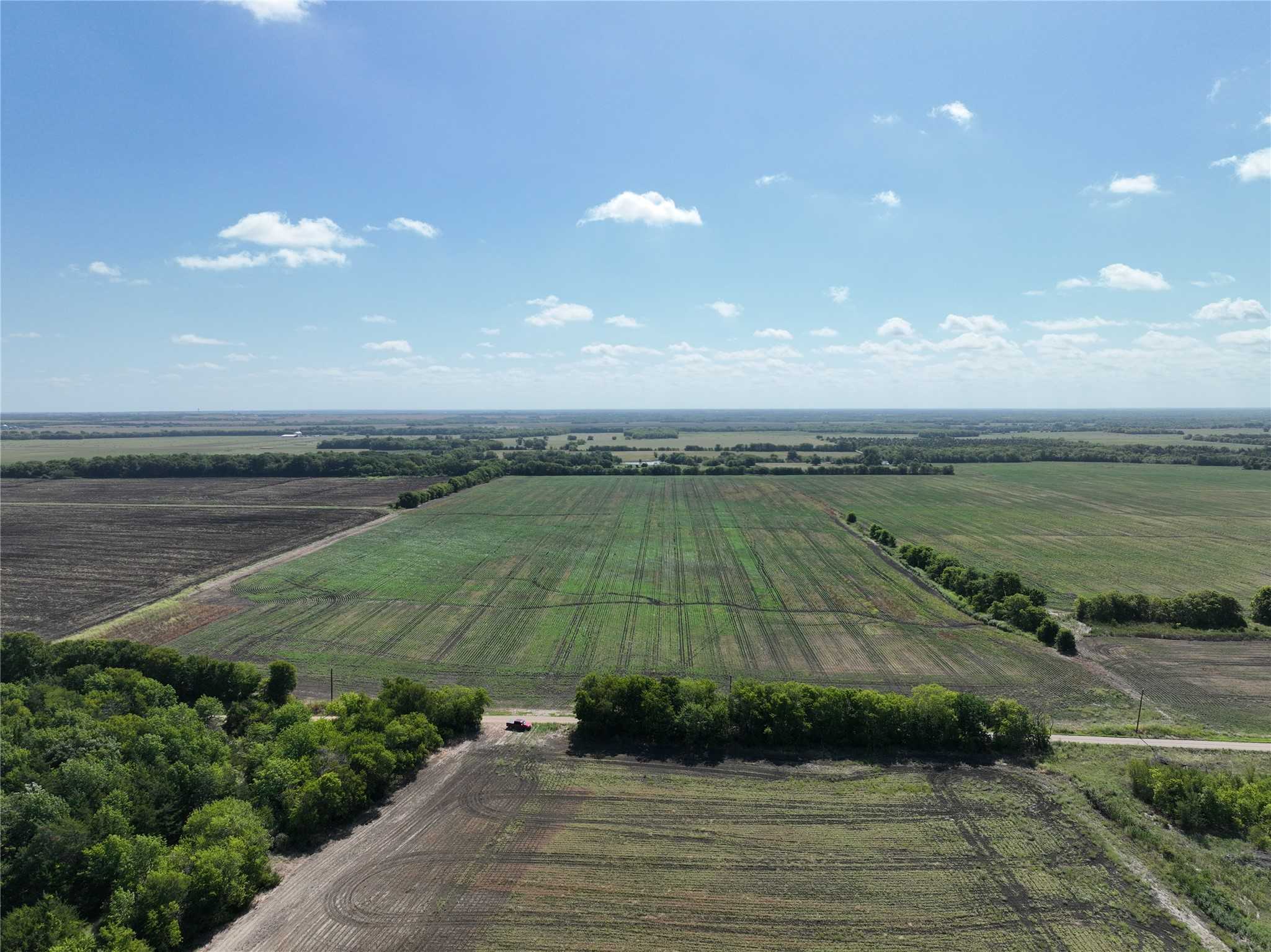 photo 3: TBD County Road 26850, Petty TX 75470