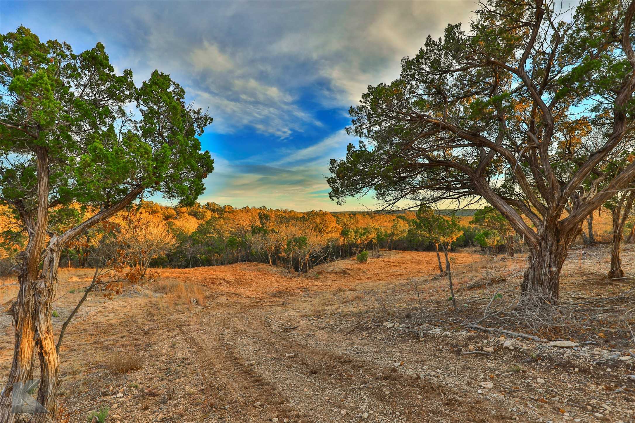 photo 1: 35 Acres County Road 322, Tuscola TX 79562