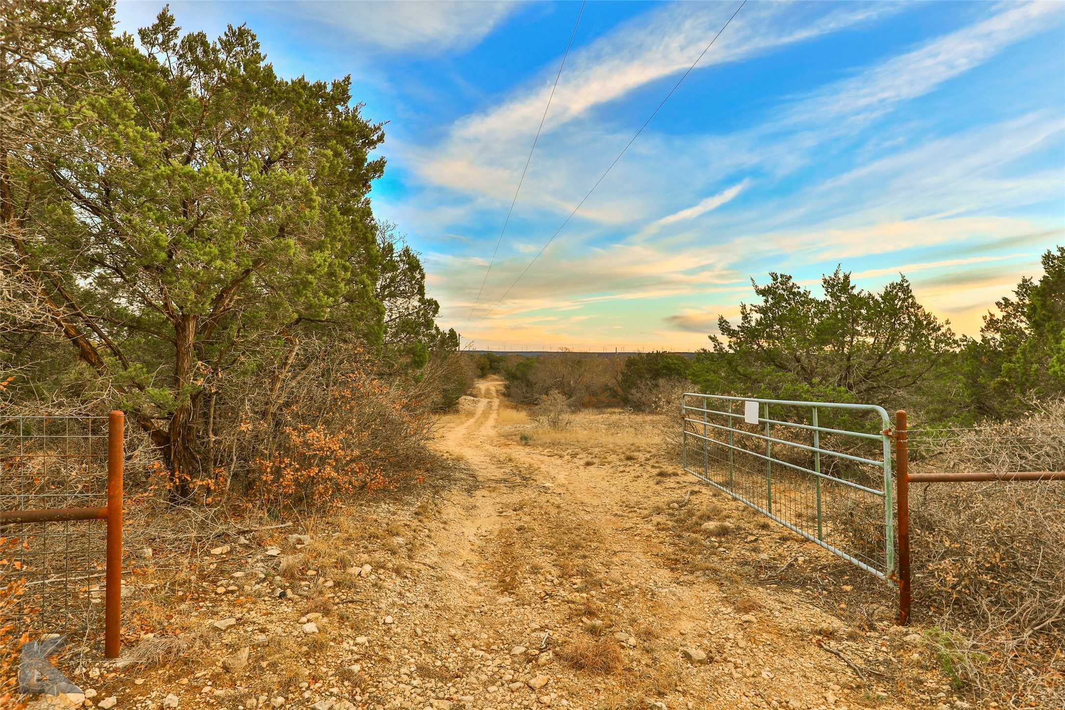 photo 2: 35 Acres County Road 322, Tuscola TX 79562