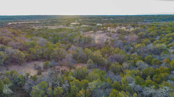 photo 40: 35 Acres County Road 322, Tuscola TX 79562