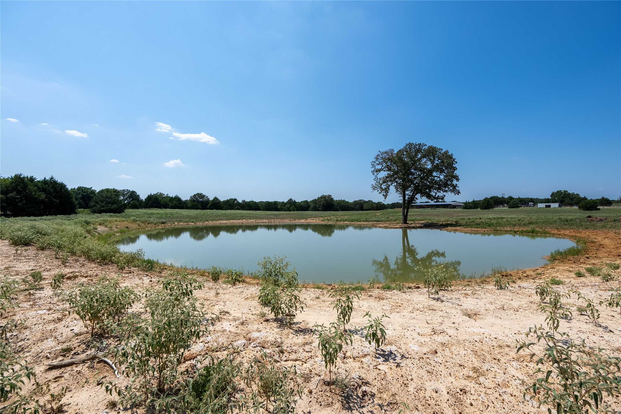 photo 3: Lot 1 CR-145, Whitesboro TX 76273