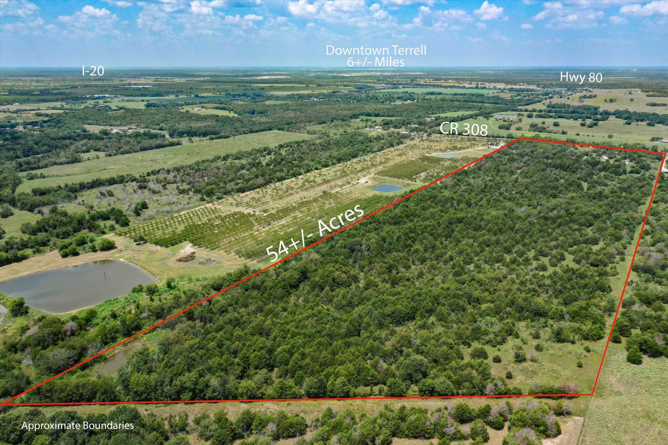 photo 1: TBD County Road 308, Terrell TX 75160