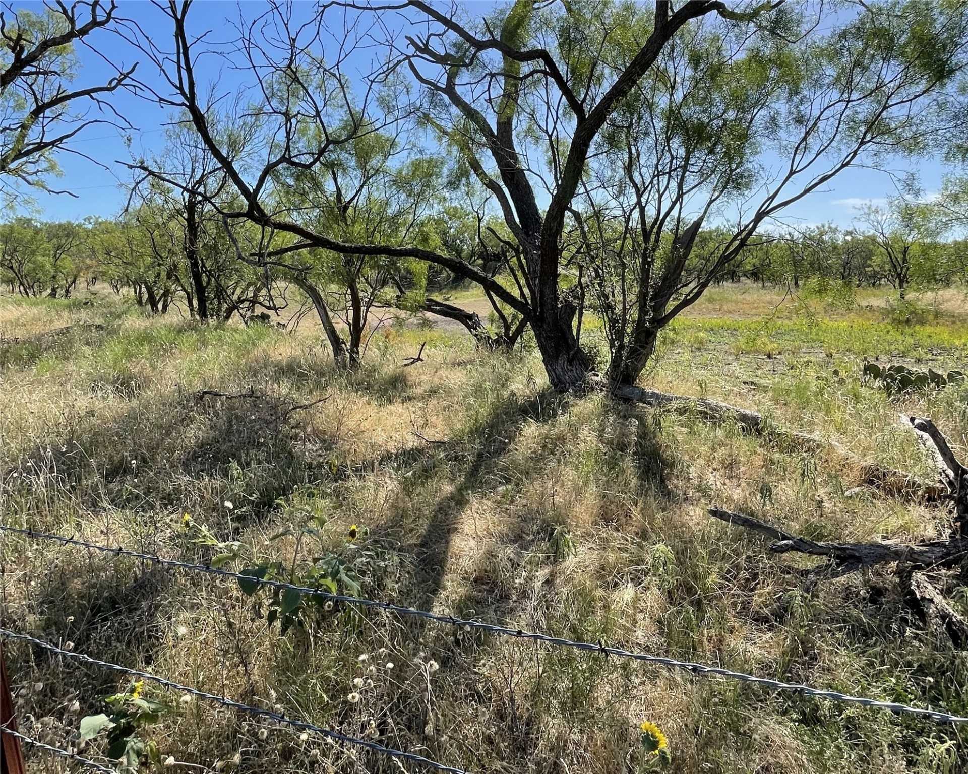 photo 2: TBD County Road 105, Abilene TX 79601