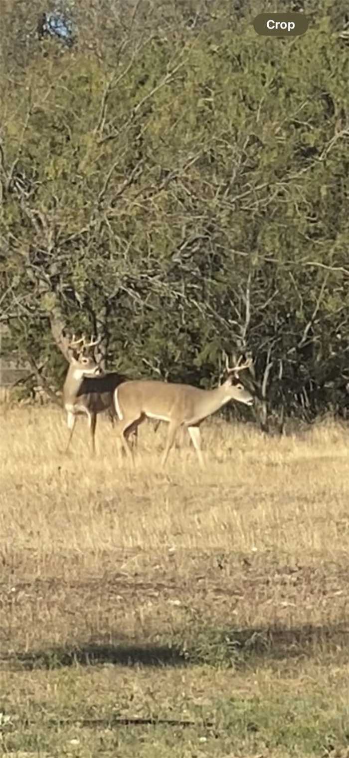 photo 6: TBD Meadow Ridge Drive, Weatherford TX 76087