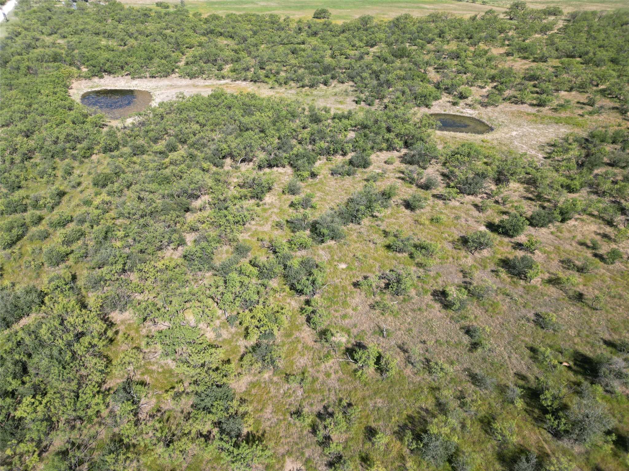 photo 3: TBD CR 100, Abilene TX 79601