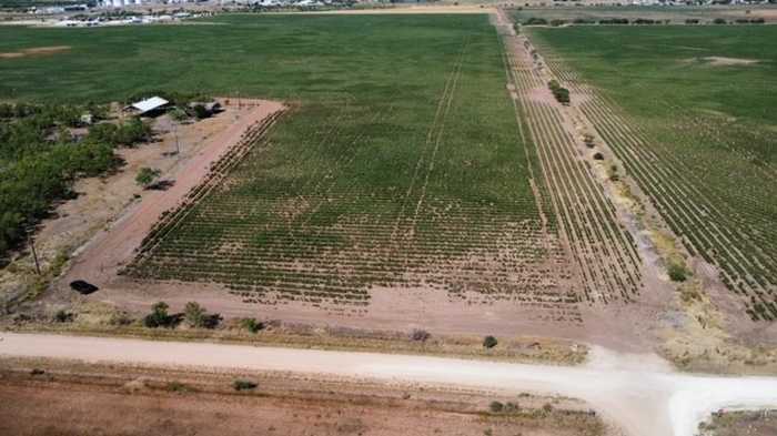 photo 27: 398 Bumpergate Road, Abilene TX 79603