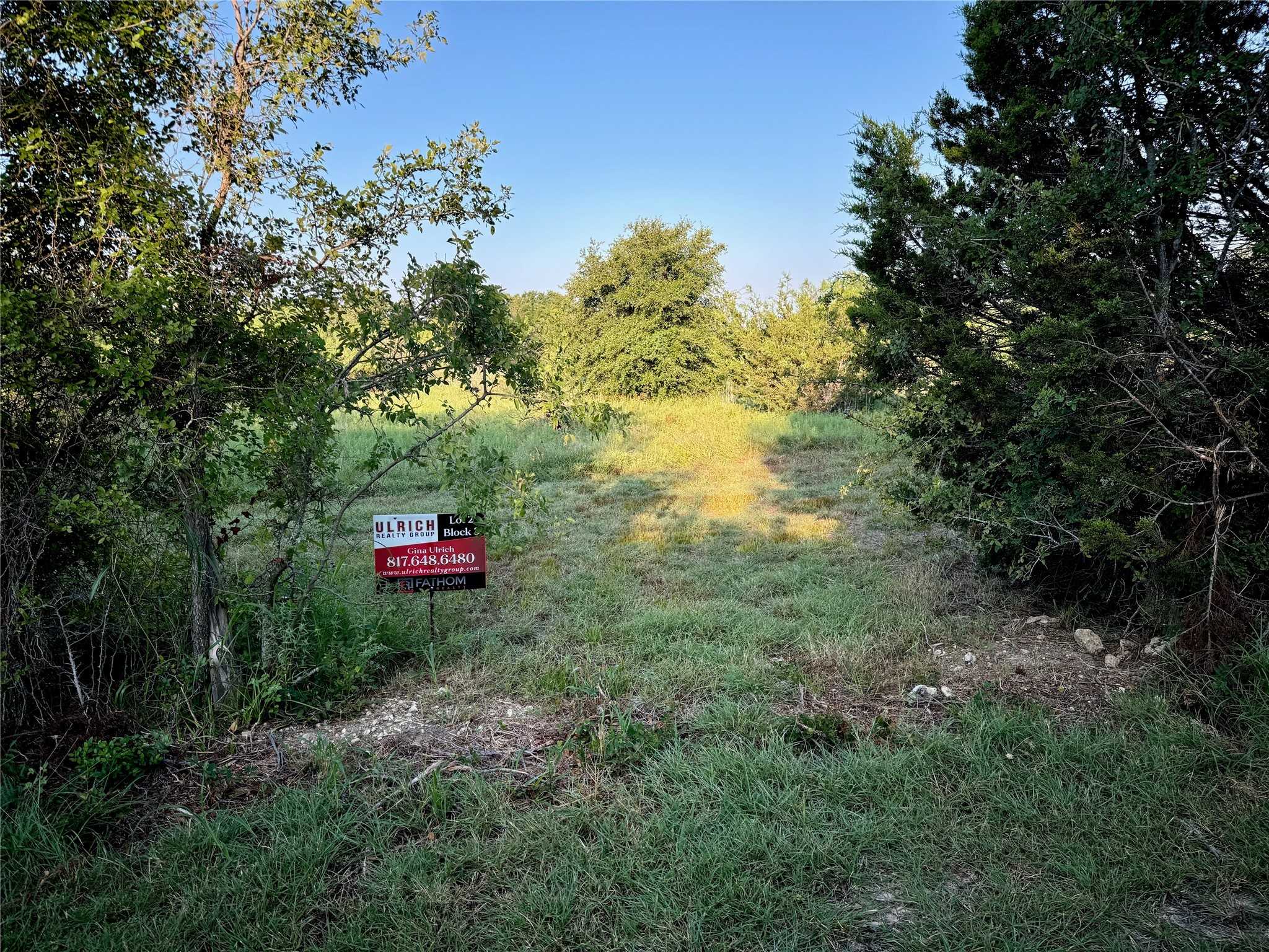 photo 3: 10910 County Road 1117, Cleburne TX 76033