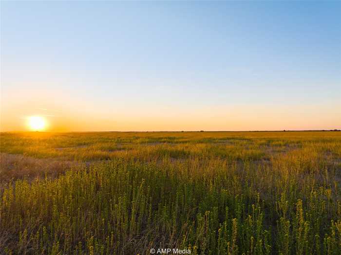 photo 1: Lot 8 County Road 503, Abilene TX 79601