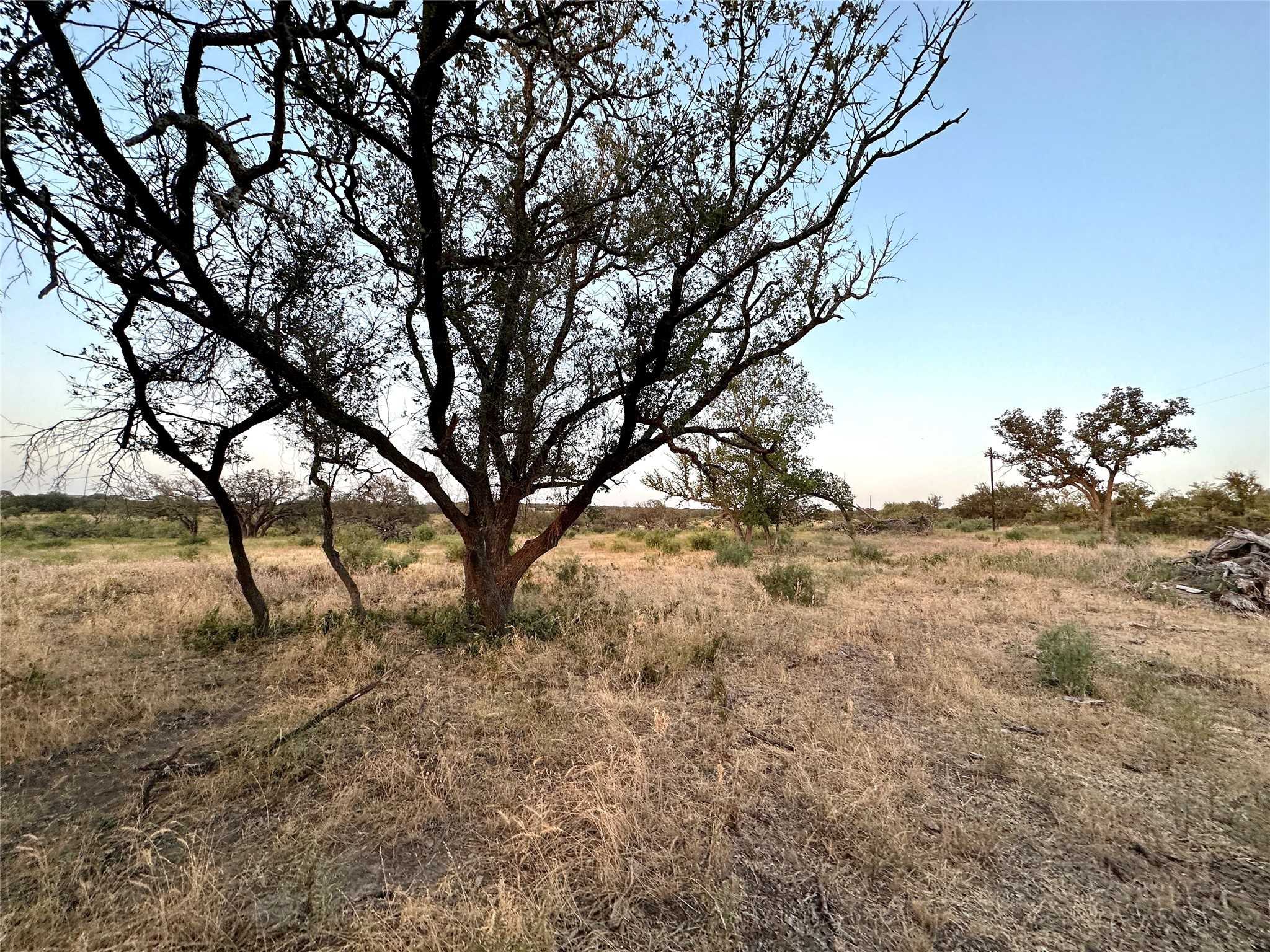 photo 3: Lot14 N County Road 510, Goldthwaite TX 76844