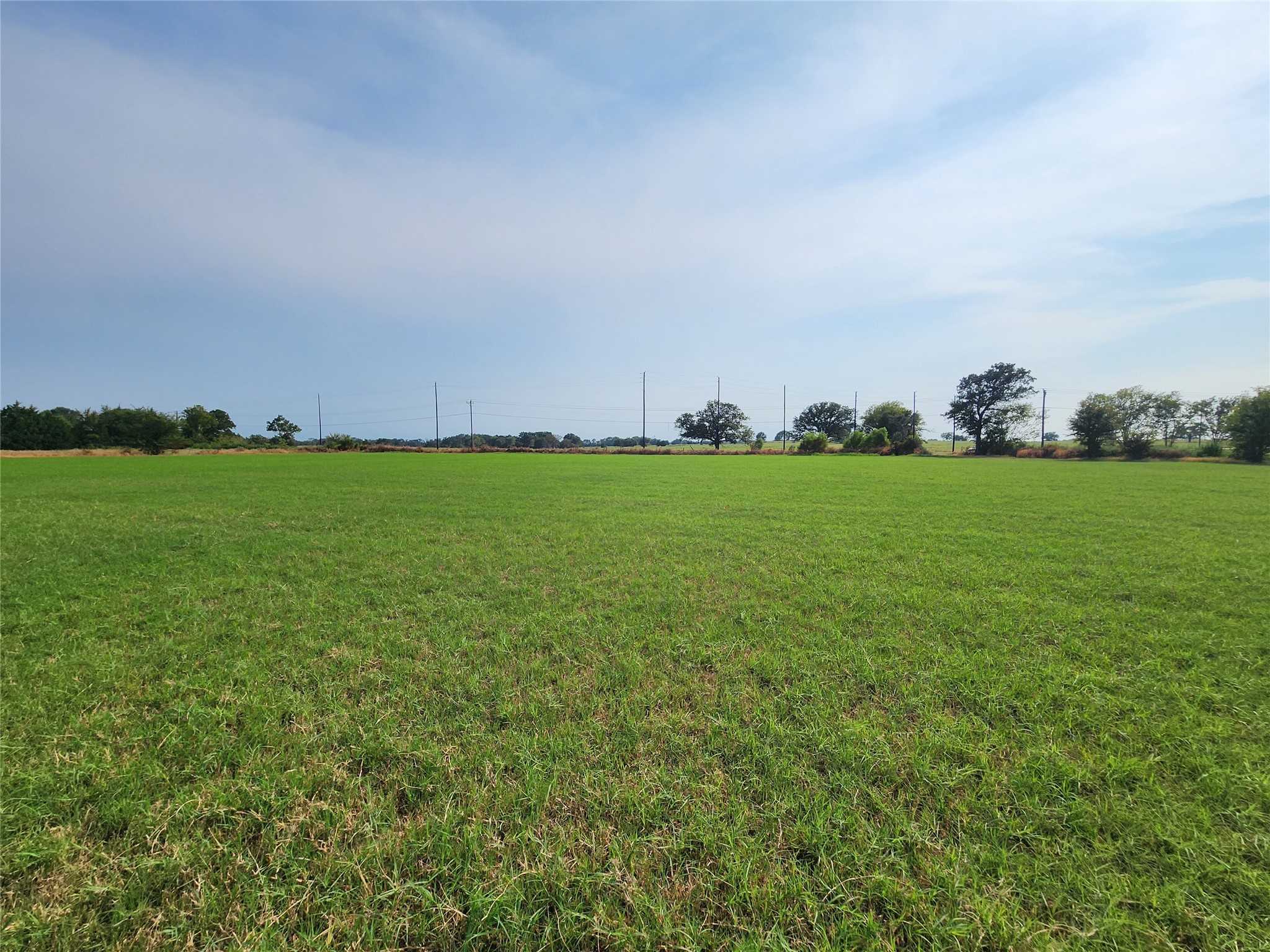 photo 2: 3204 VZ County Road, Wills Point TX 75169