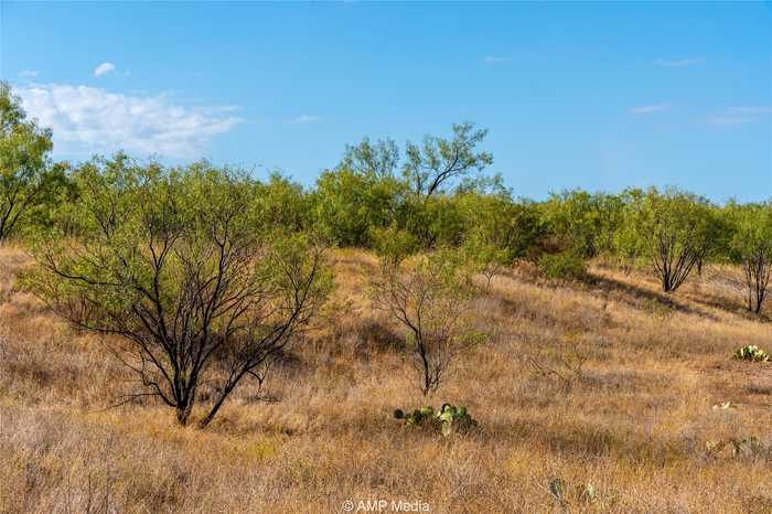 photo 11: 815 FM 2404, Abilene TX 79601