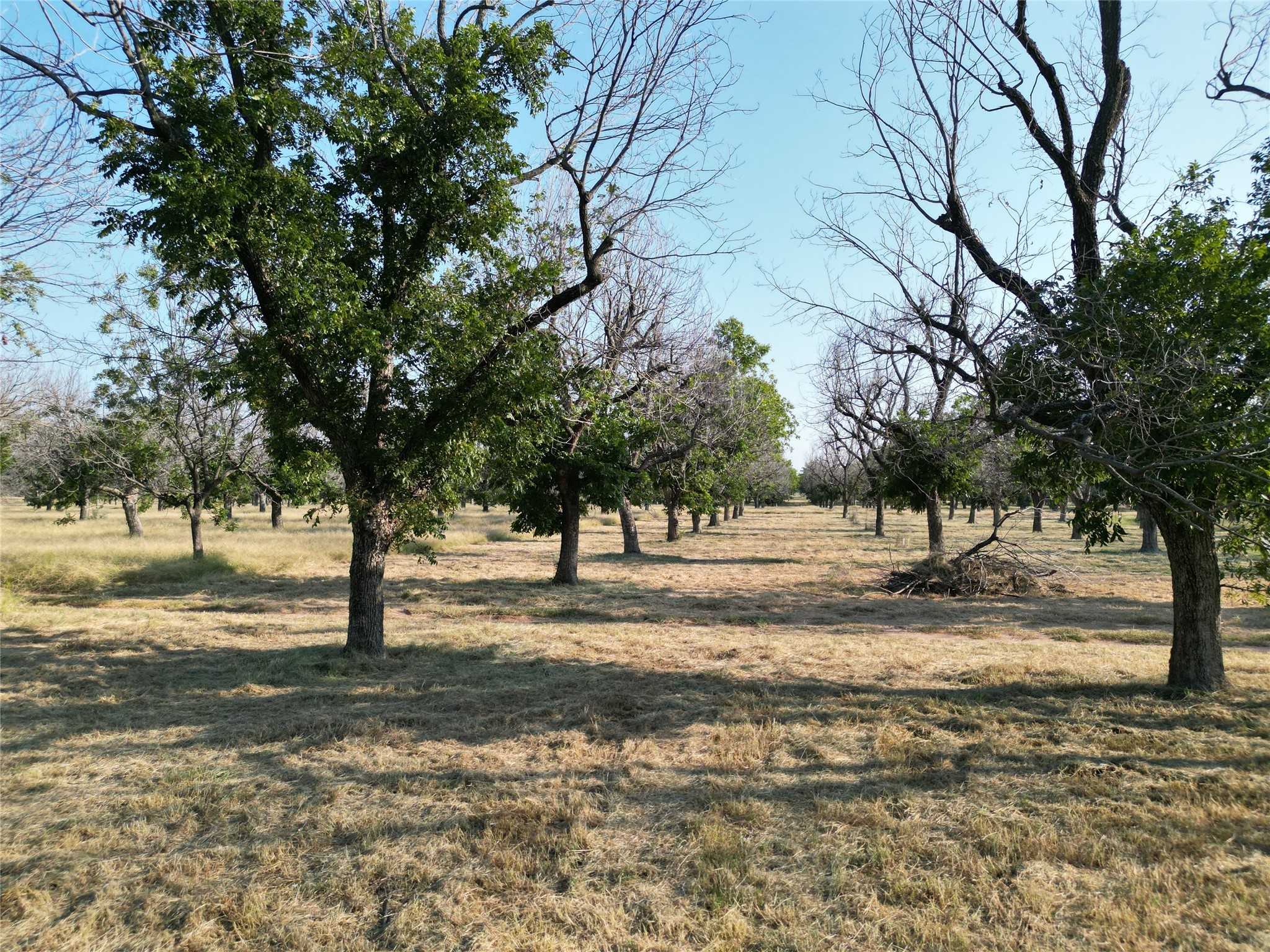 photo 3: 1013 East Landings North, Granbury TX 76049