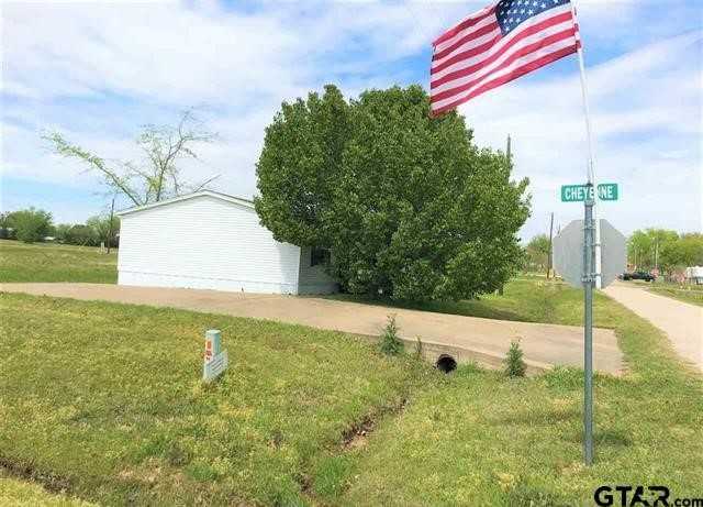 photo 3: 701 APACHE, Quitman TX 75783