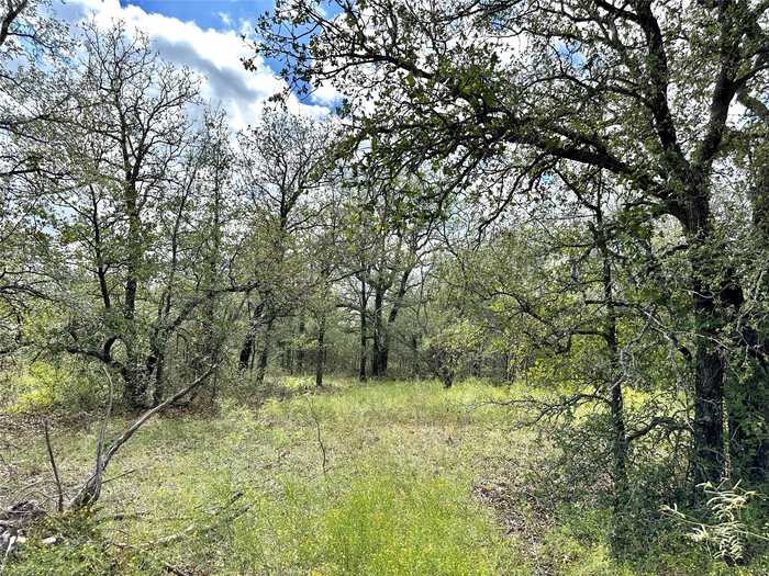 photo 1: 1055 County Road 150, Comanche TX 76442