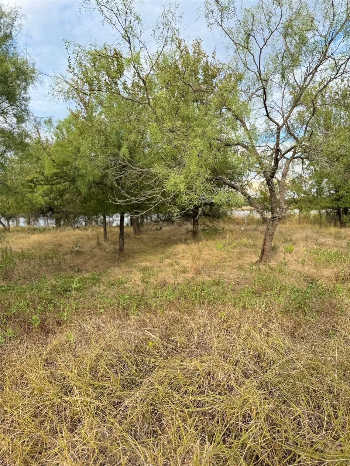 photo 2: TBD S Beacon Lane, Brownwood TX 76801