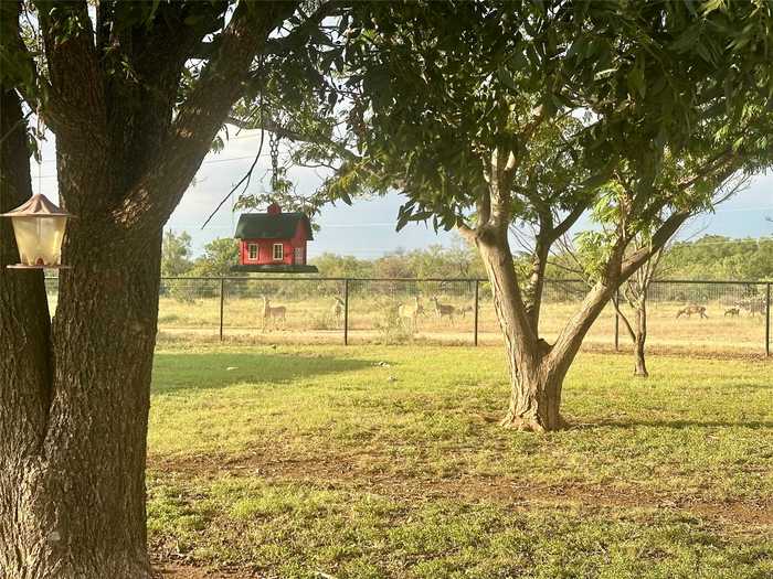 photo 2: 2200 Old Calf Creek Road, Brady TX 76825